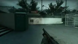 Shotgun Animations (Left 4 Dead 1+2 Remix)