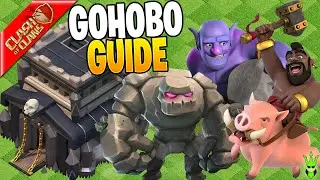 HOW TO USE HOG RIDERS AT TH9!