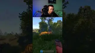 Как часто Вам везёт в раст/rust? #rust #rustgame #rustmemes #растмемы #растигра #раст #стрим #игры