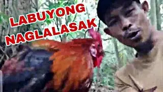 IKA LIMANG HULI NI GANDA.