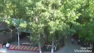 День рождение