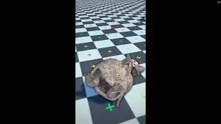 I'm making a dog tortoise game.