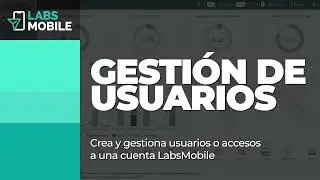 Configura diferentes usuarios o accesos a tu cuenta  | LabsMobile