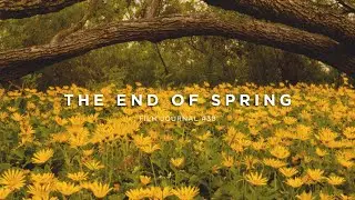 THE END OF SPRING | Sony FX30 & Osmo Pocket 3 // Film Journal #38