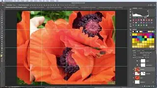Photoshop for Painters