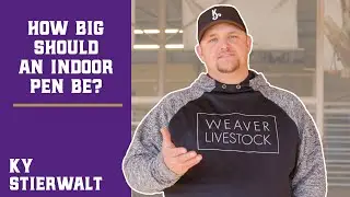 How Big Should an Indoor Pen Be?
