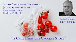 Allan Walls Photography Macro Competition Results for July 2024 with Harold Hall, Guest Judge