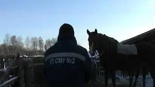 езда верхом на лошади