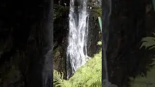 Водопад Великан в Абхазии