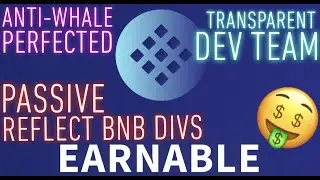 Earn Token Overview | Strong Anti-Whale Protections | Passive BNB Reflect Rewards | $EARN | EARNABLE