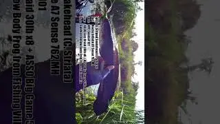 First Dalag of the Year! I Snakehead Fishing in the Philippines