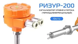 РИЗУР-200 | Сигнализатор уровня и потока термодифференциальный (2023)