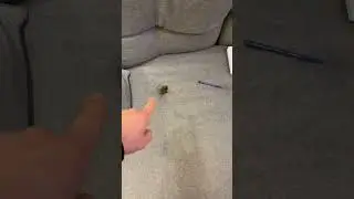 Когда не выгулял ребенка! У кого так?