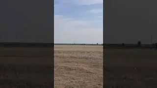 21 августа 2024 г.