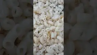 Ужин на скорую руку в Тюлюке