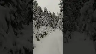 ГАЗ 66 КАРПАТИ