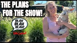 ANNOUNCEMENT: The status of BlahBlahBlah