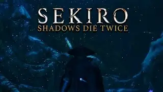 This is SEKIRO
