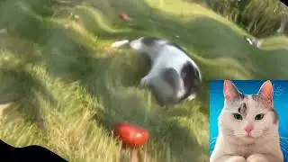 Малыш и Яблочко 4ormulator Collection