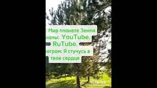 Пресвятая Богородица слышит ваши маты