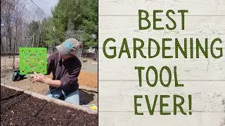 Sowing Seeds Made Easy #short