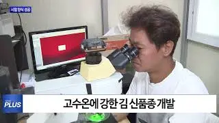 고수온에 강한 ‘김’ 신품종 개발