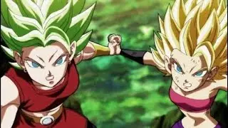 Showcase Kale and caulifla