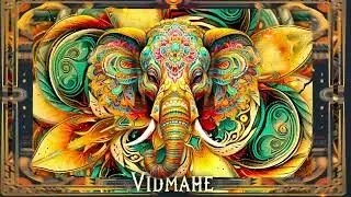 S3N0 - Vidmahe