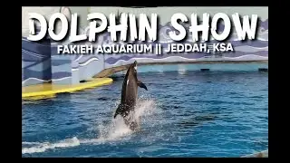 DOLPHIN SHOW (FULL VIDEO) || FAKIEH AQUARIUM || JEDDAH, KSA