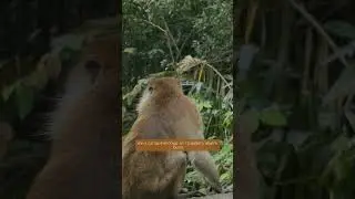 Всего за час! 