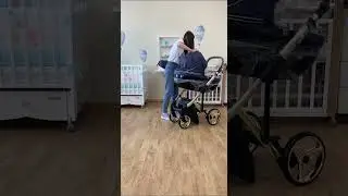 Детская коляска Adamex Chantal Special Edition Deluxe -  C108 (обивка экокожа)