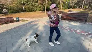 Прогулка тренировка  моей собаки/Lady ZlataGo