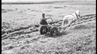 בנהלל 1961. (קטע) במאי: אמיל קנבל