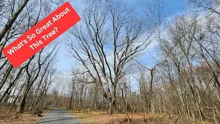 Finishing Up The Perkiomen Rail Trail