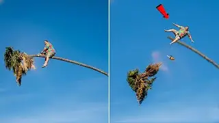 Idiots With Chainsaws & Tree Cutting Fails | Extreme Dangerous Logging Truck Fails #2