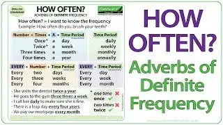 How Often? - Adverbs of Definite Frequency | Learn English Adverbs of Frequency | ESOL Grammar