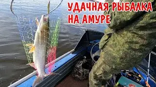 РЫБАЛКА НА АМУРЕ / ПОЙМАЛИ ЖЕЛТОЩЁКА (НЕЛЬМА) / ВЕРХОГЛЯД / ЩУКА / ЗА РЫБОЙ НА МОТОРНОЙ ЛОДКЕ / ВЛОГ