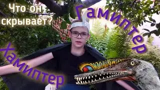 Хамиптер (гамиптер)