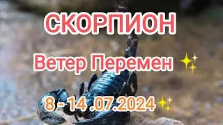 СКОРПИОН ✨8 - 14 июля 2024. Тароскоп.