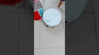 Amele sen harikasın
