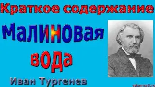 Краткое содержание Малиновая вода, Тургенев