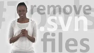 How to remove .svn files under Windows