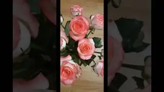 Память прошлых лет!
