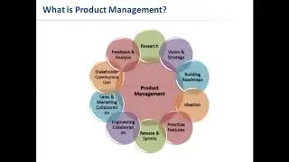 Difference Between Product Management & Product Owner
