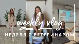 Недельный VLOG с Ветеринаром 🫶🏻 выступление на конференции, гончарка и мои мысли 💭