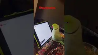 мы мало знаем о своихдрузьях