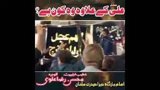 Allama Ghazanfar Abbas Tonsvi Al Hashmi