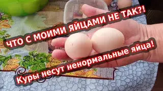 Куриные яйца с дефектом - опасно или нет?