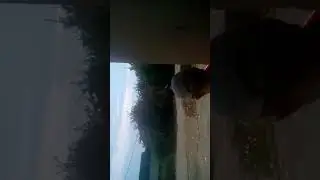 ГОНКИ НА ВЕЛОСИПЕДАХ