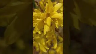" Хіба ми можемо знати справжню міру свого щастя, якщо нам невідомо, що чекає нас попереду?...,